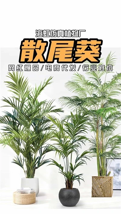 Gervi Areca Palm