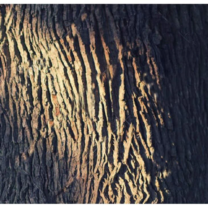 Artificial Oak Tree