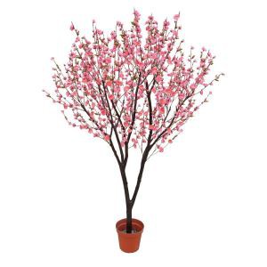 Gervi Peach Blossom Tree Pink Litur