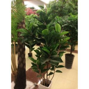 Gervi Gúmmí Tree Bonsai