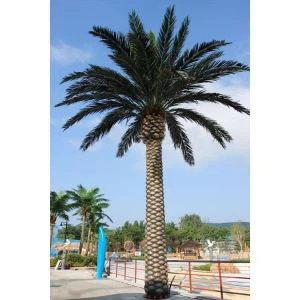 Fölsuð Canary Date Palm Tree