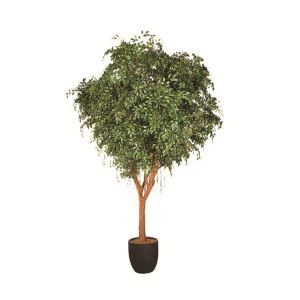 Fölsuð Ficus Benjamin Tree